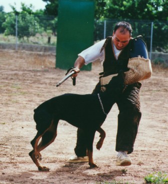 Fase de carga del Figurante. Figurante: Agustin Blazquez
