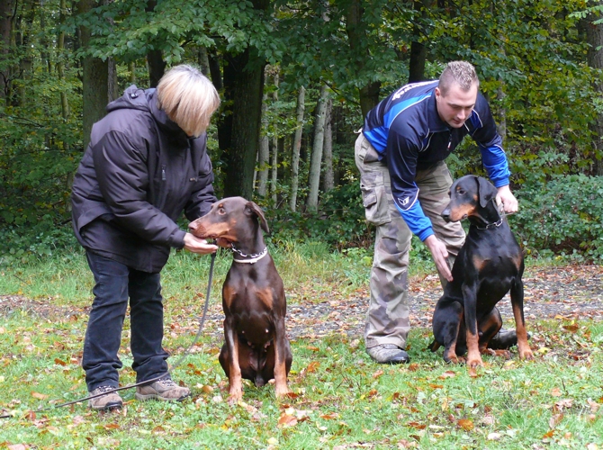 Rhayader Jacky y Comet v. Burghof - Alemania 23-24/10/10