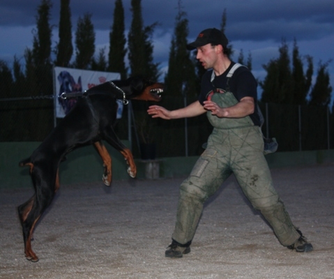 Jeff con Ingmar Sioen