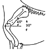 Angulacin anterior ideal