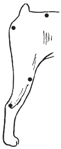 Recto