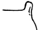 Alta