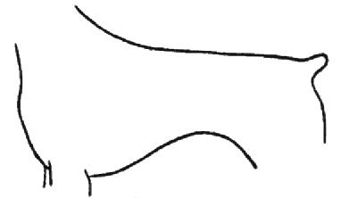 Tipo galgo