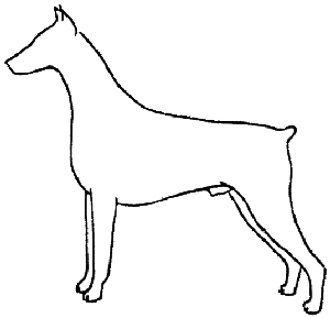 Largo de Cuerpo