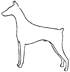 Fino