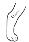 Recto